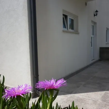 Hvar Krizna Luka Apartment *